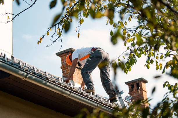 Professional Roofing in Barry, IL