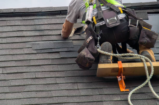 Best Green or Eco-Friendly Roofing Solutions  in Barry, IL